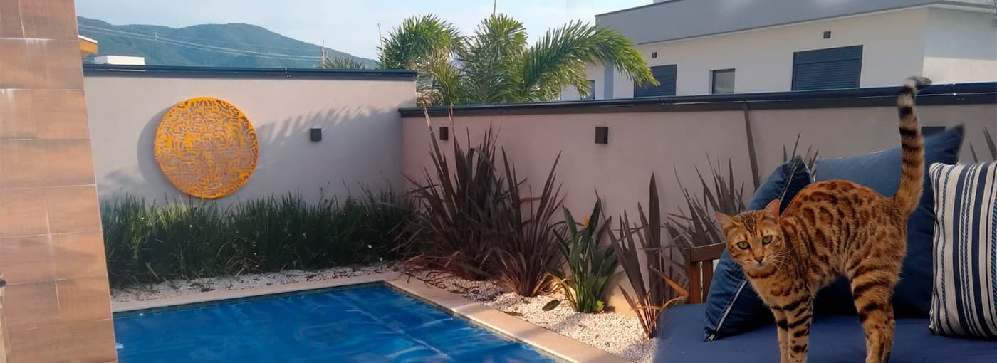 Barreira para pet
