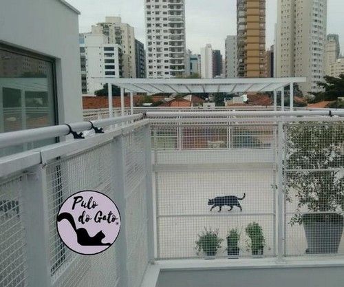 Cerca antifuga para gatos